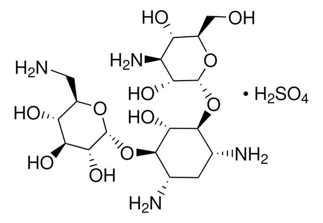 Kanamycin sulfate from Streptomyces kanamyceticus powder, BioReagent, suitable for cell culture, suitable for plant cell culture