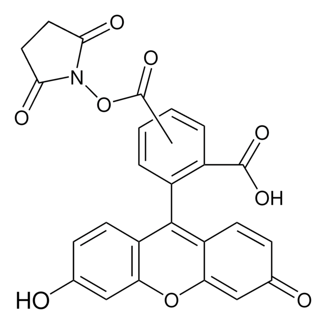 5(6)-Carboxyfluorescein N-hydroxysuccinimide ester BioReagent, suitable for fluorescence, mixture of isomers, &#8805;80% (HPLC)