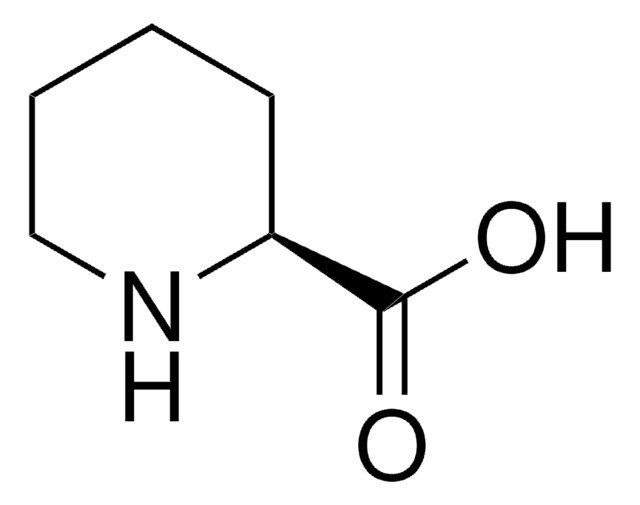 L-Pipecolic acid 99% (titration)