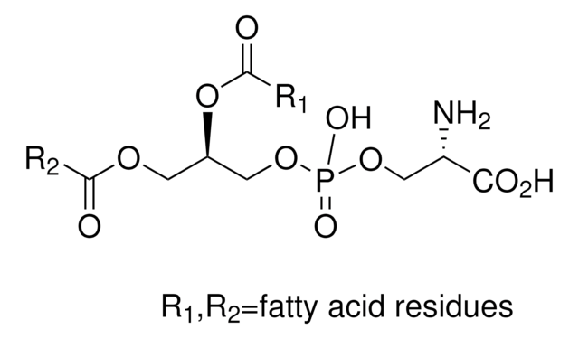 1,2-Diacyl-sn-glycero-3-phospho-L-serine &#8805;97% (TLC), from bovine brain, amorphous powder