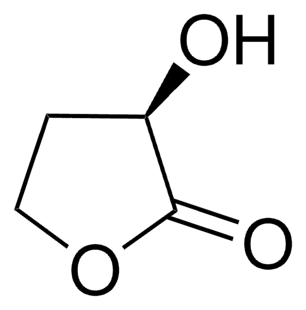 (R)-(+)-&#945;-Hydroxy-&#947;-butyrolactone 95%, optical purity ee: 98% (GLC)