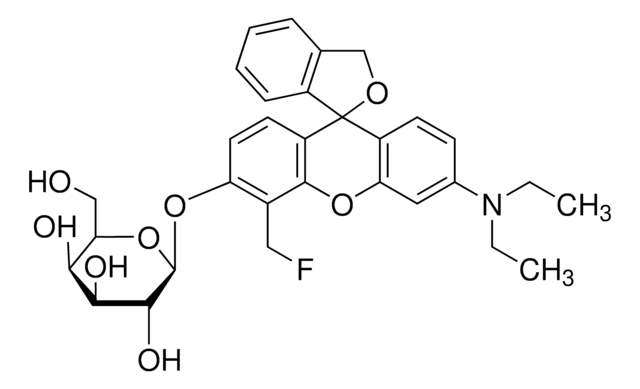 &#946;-Galactosidase stain