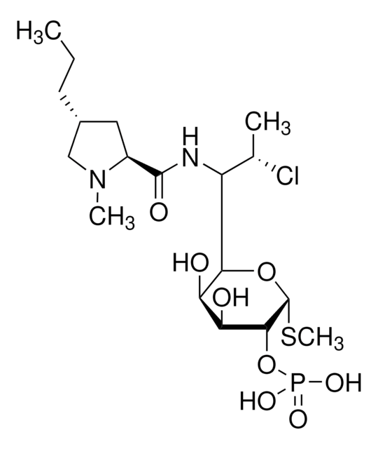 Clindamycin phosphate European Pharmacopoeia (EP) Reference Standard