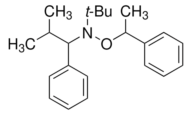 N-tert-Butyl-N-(2-methyl-1-phenylpropyl)-O-(1-phenylethyl)hydroxylamine