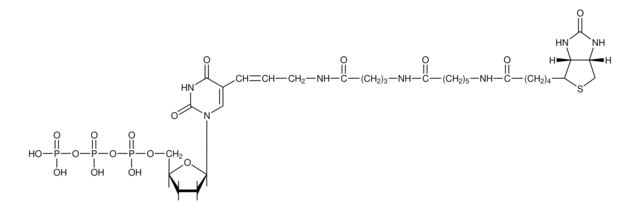 Biotin-16-ddUTP &#8805;98% (HPLC), solution, 1&#160;mM, suitable for hybridization